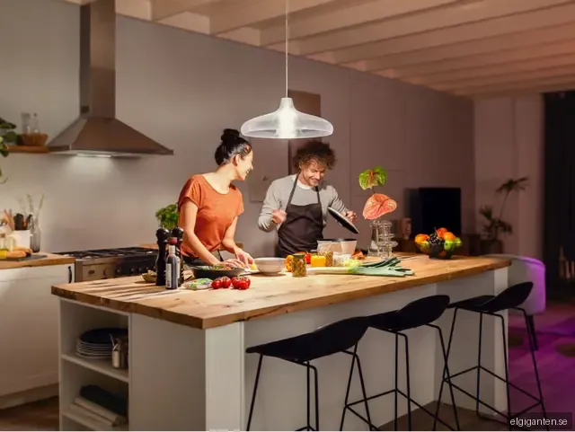 Philips Hue W 15.5W A67 E27 1st