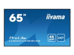 iiyama ProLite LH6541UHS-B1AG