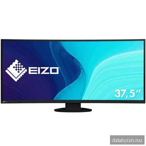 EIZO FlexScan EV3895-BK med FlexStand - LED-skärm - böjd - 37.5"