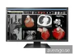 EIZO RadiForce MX317W
