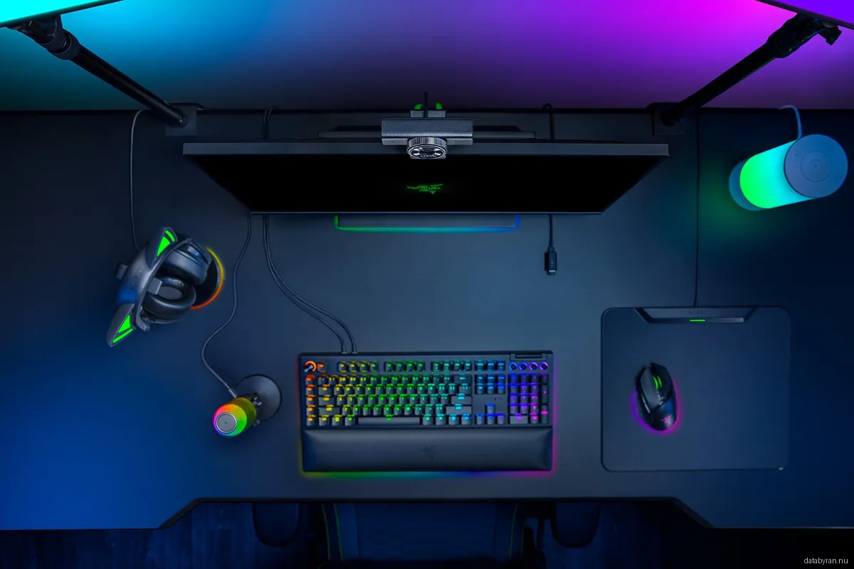 Razer Kiyo V2 X Webb­kamera - Svart