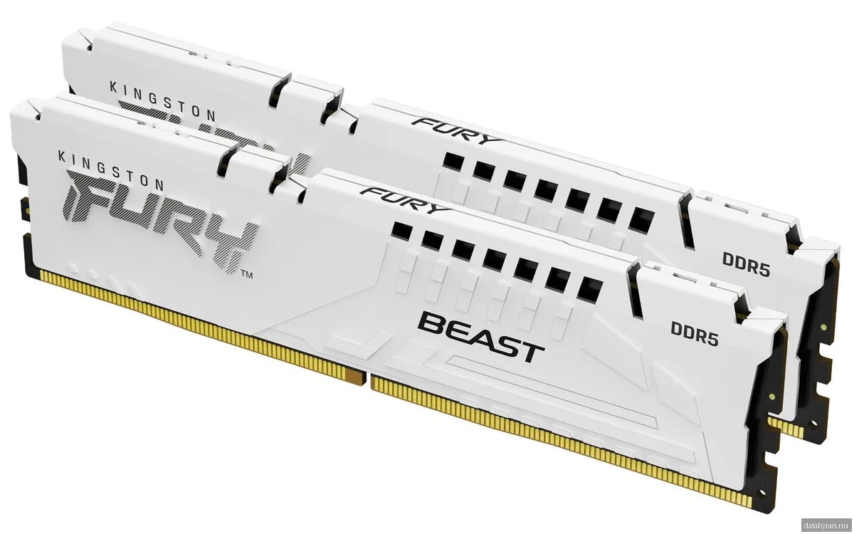 Kingston FURY Beast DDR5-5600 - 32GB - CL40 - Dual Channel (2 pcs) - Intel XMP - Vit