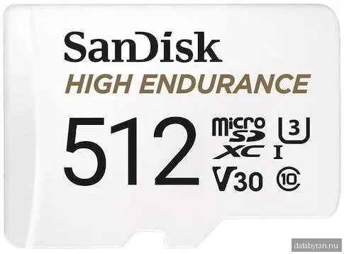 SanDisk High Endurance UHS-I microSDXC-kort (256GB)
