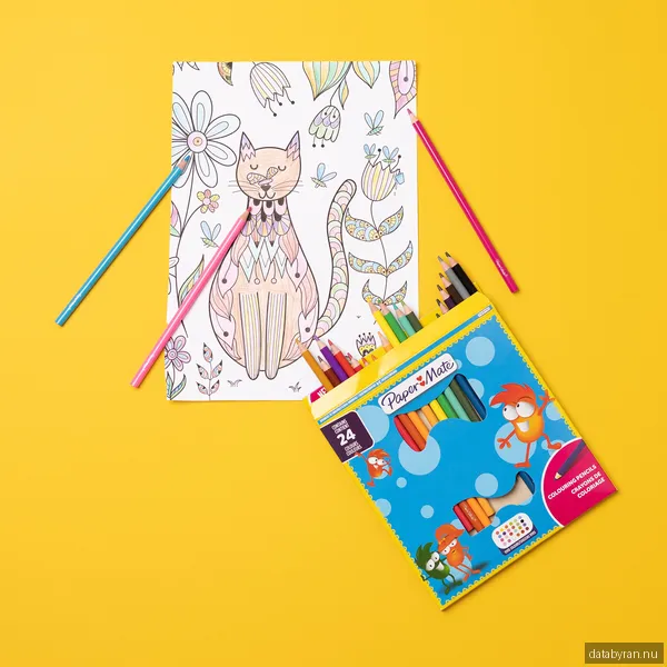 Ritpennor Paper Mate Coloring Wood Case, 24 färger