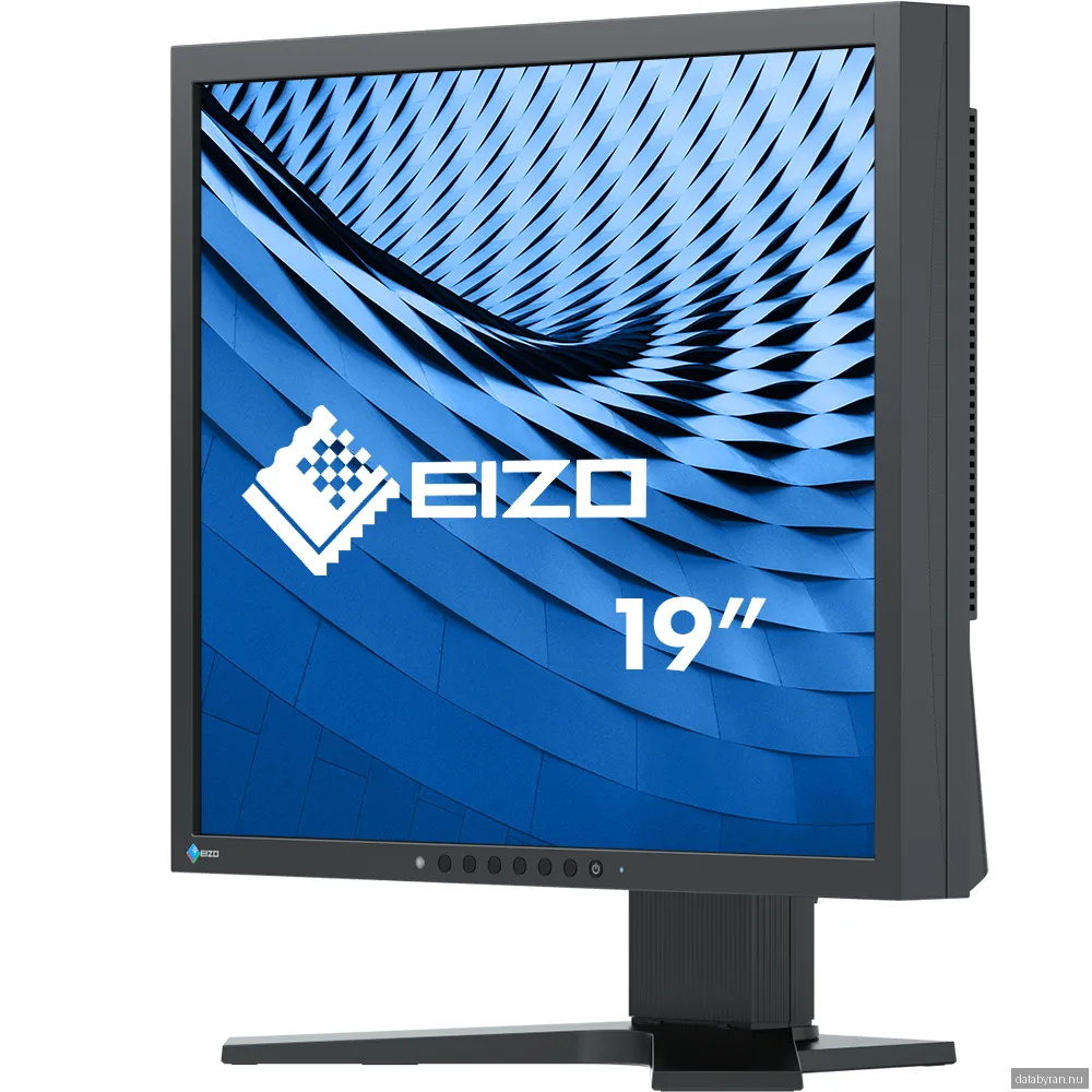EIZO FlexScan S1934H