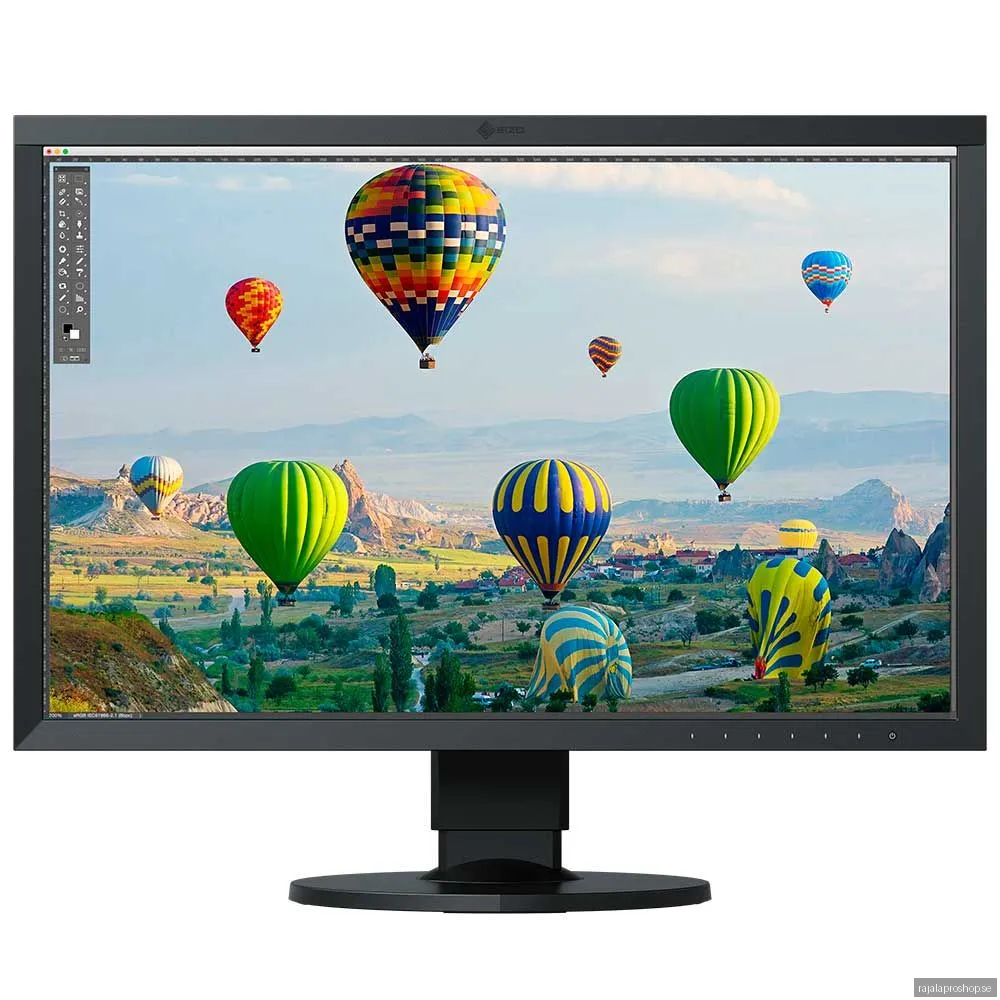 Eizo ColorEdge CS2410CAL 24 -bildskärm