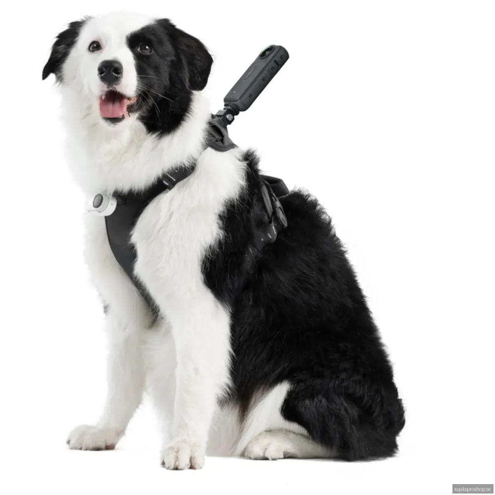 Insta360 Pet Harness Mount Size L