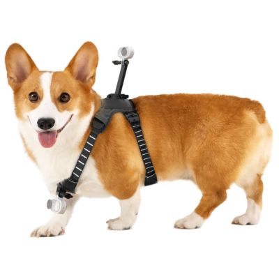 Insta360 GO 3/GO 3S Pet Harness Mount Storlek M