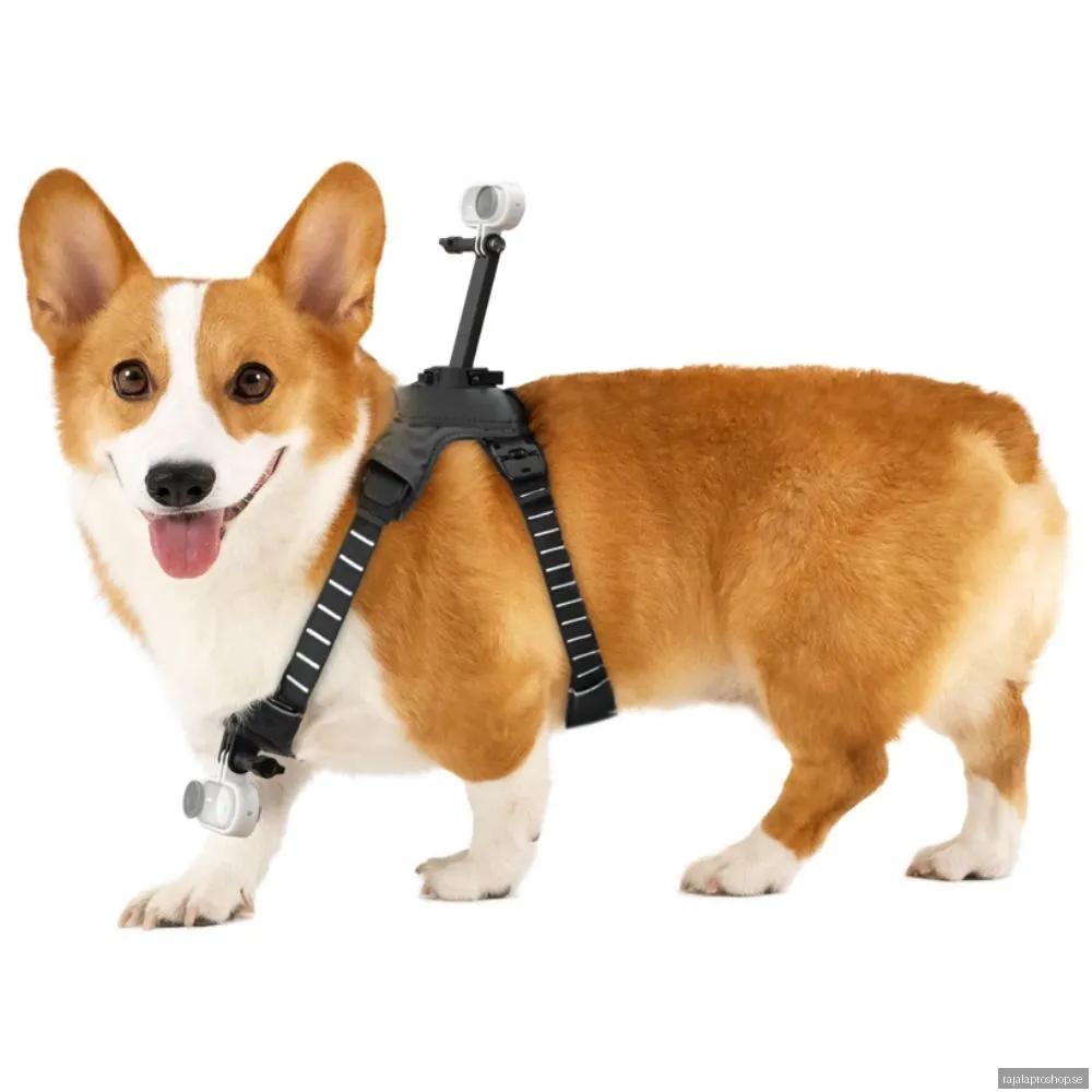 Insta360 GO 3/GO 3S Pet Harness Mount Storlek M