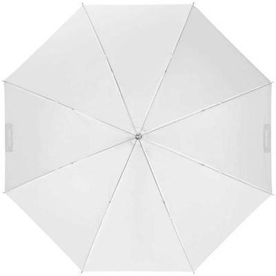 Profoto Umbrella Shallow Translucent S 85cm