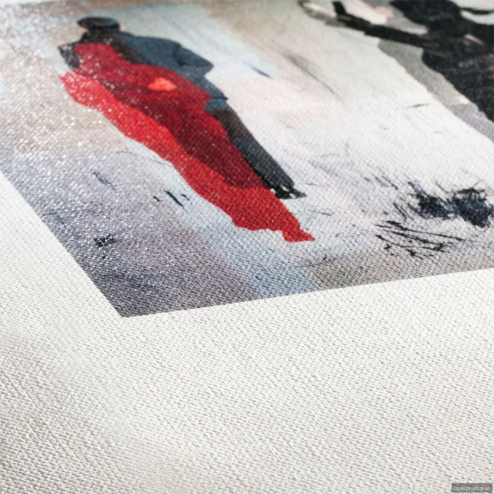 Hahnemuehle FineArt Goya Canvas 340gsm