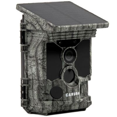 Caruba Raccoon Solar 4K Wildlife Camera -åtelkamera