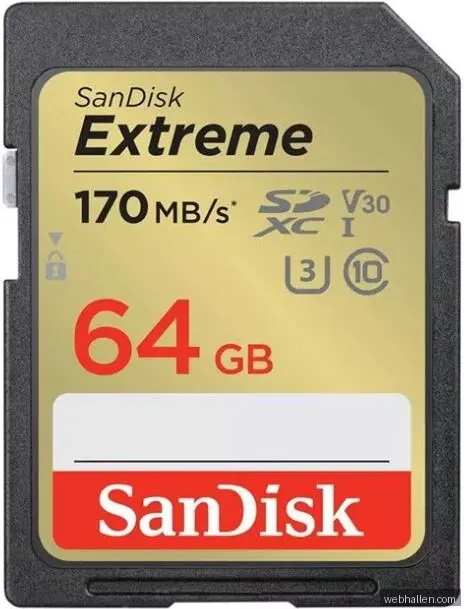 SanDisk Extreme - Flash-minneskort