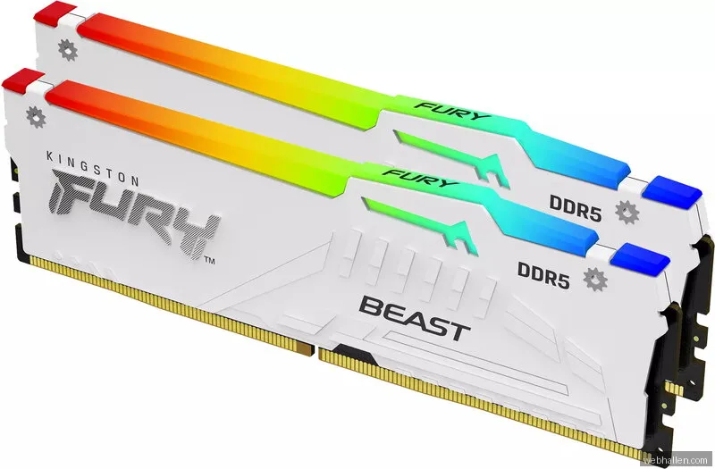 Kingston FURY Beast RGB