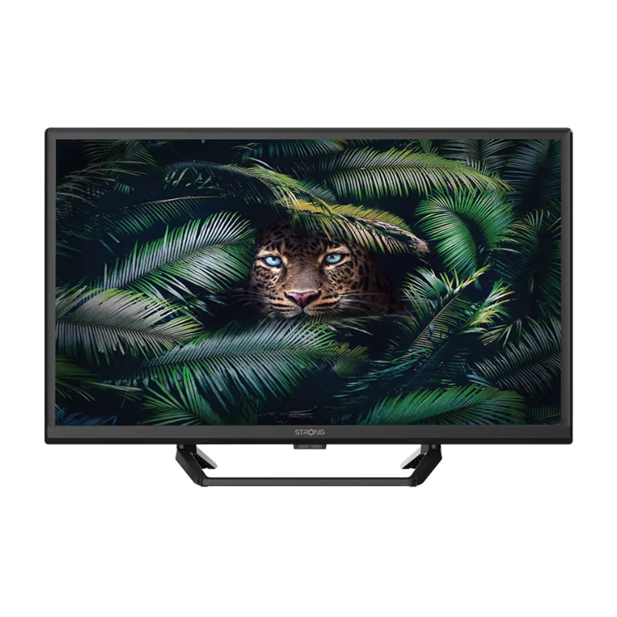 Strong 24" HD TV SRT 24HE4023C