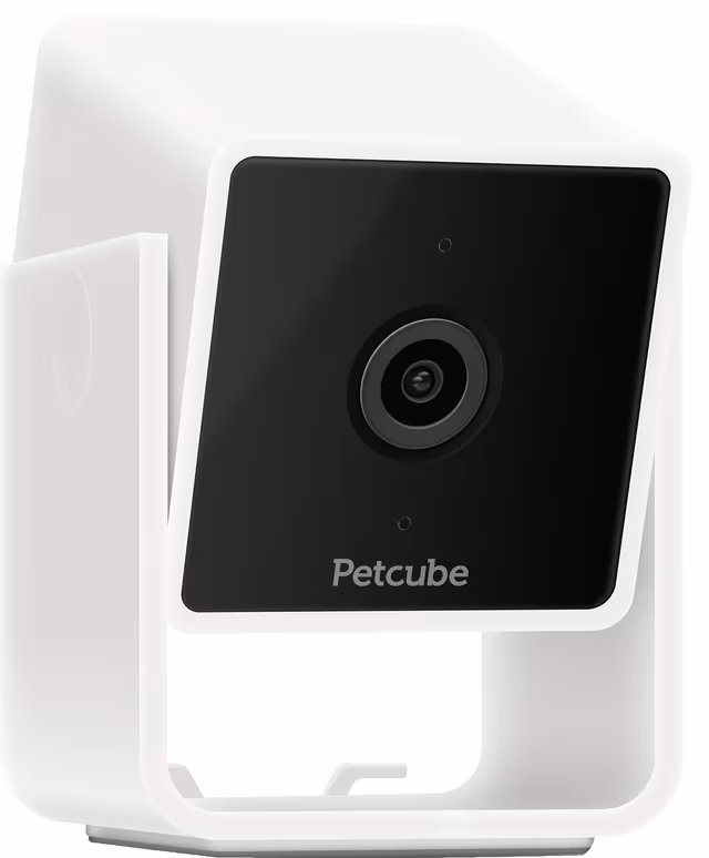 Petcube Cam