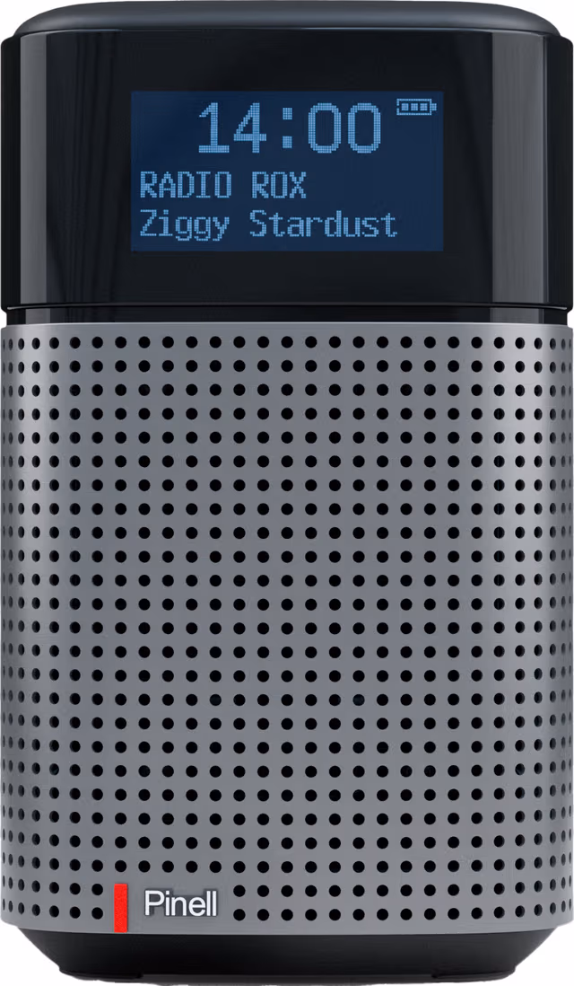 Pinell North Basic portabel digitalradio (svart)
