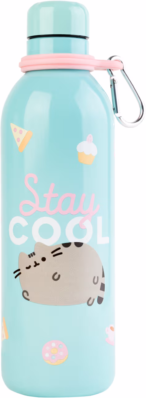 Grupo Erik Pusheen 500 ml flaska (Foodie)