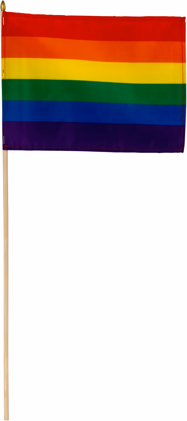 Pride handflagga EL25BL900
