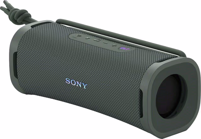 Sony ULT FIELD 1 - Forest Grey