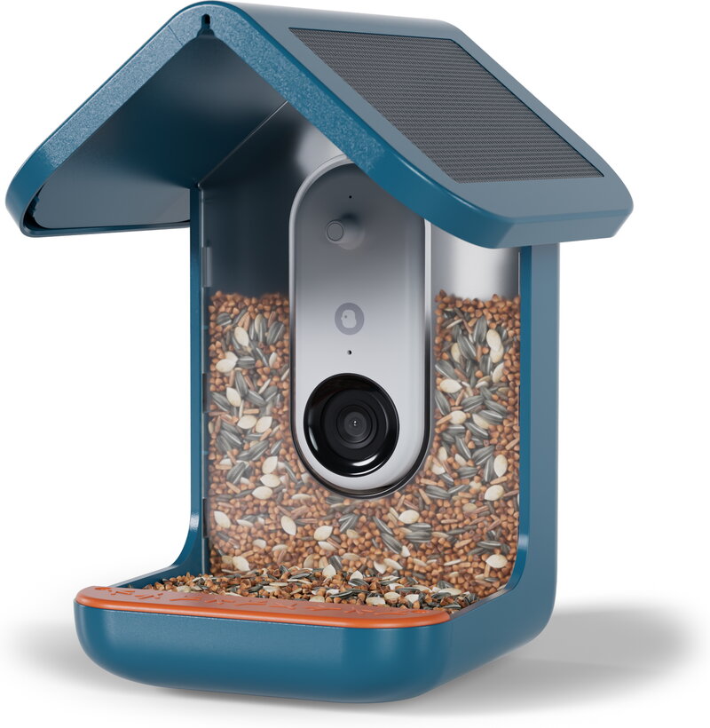 Birdbuddy med AI-kamera / Solcellstak (Fyndvara - Klass 1)
