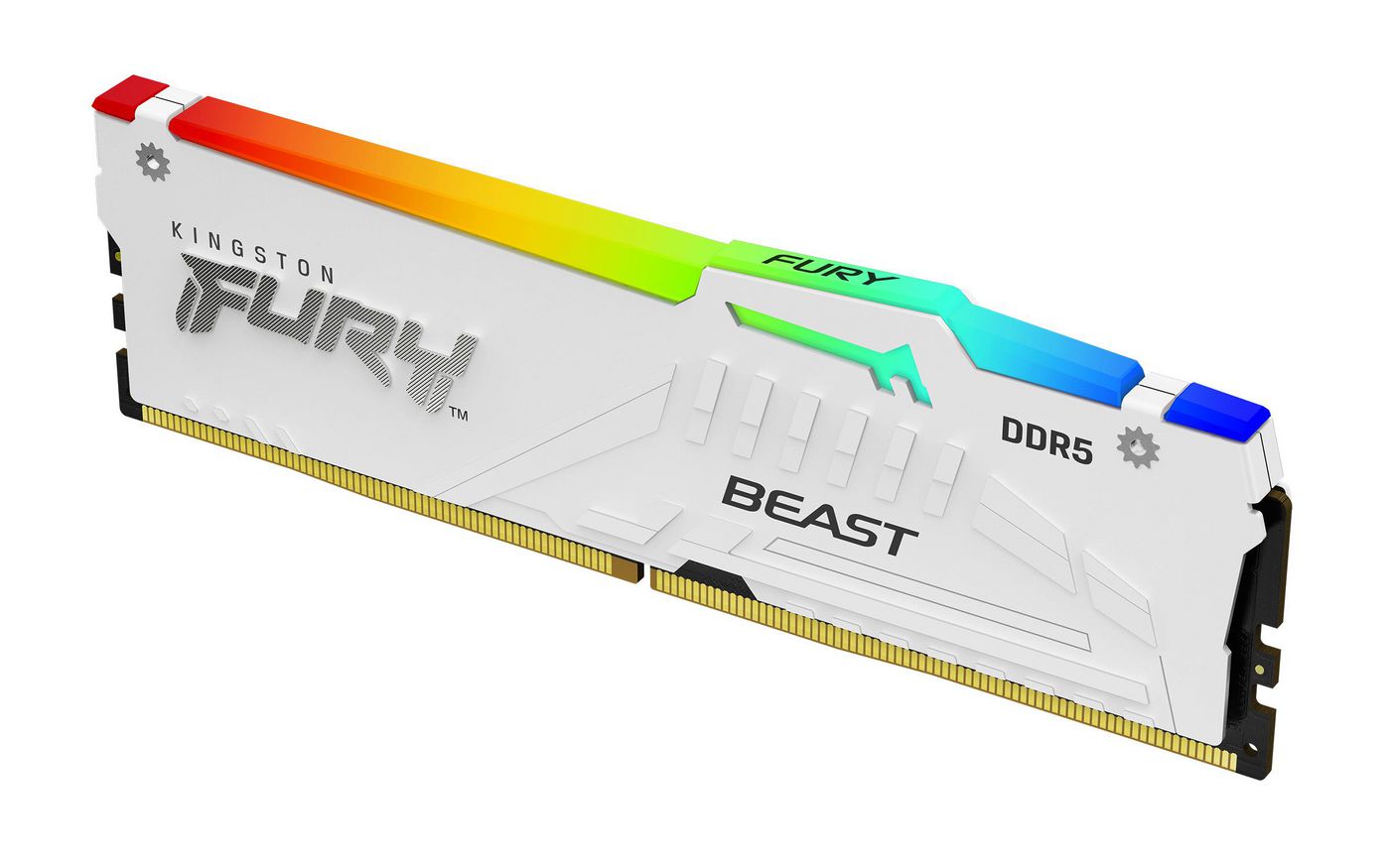 16 GB (1x16GB) DDR5-5600 Kingston FURY Beast White RGB CL36, AMD EXPO - Vit